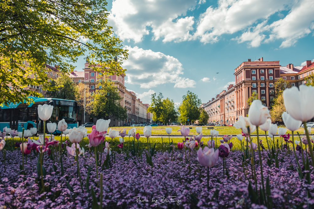 Ostrava-Poruba